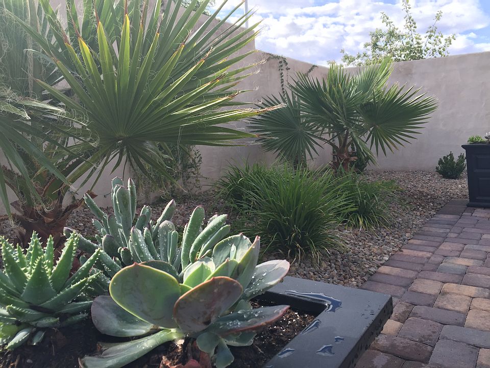 2nd image of 231 Desert Arroyo Ct