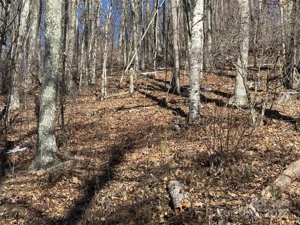 578 Glenaire Dr, Mars Hill, NC 28754