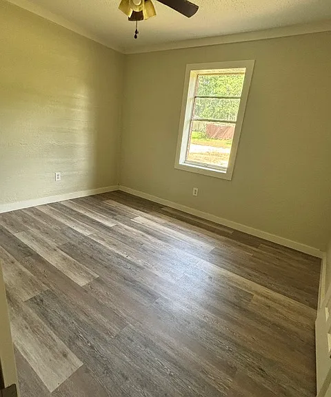 409 Birch St — Photo 7