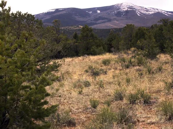 877 Vail Pass Road, South Fork, CO 81154