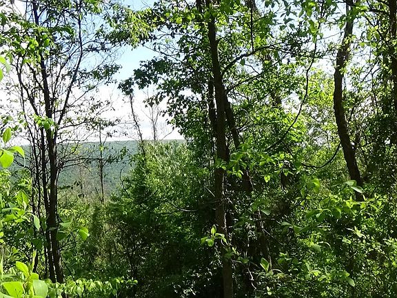 3rd image of 0 Valley View Dr
