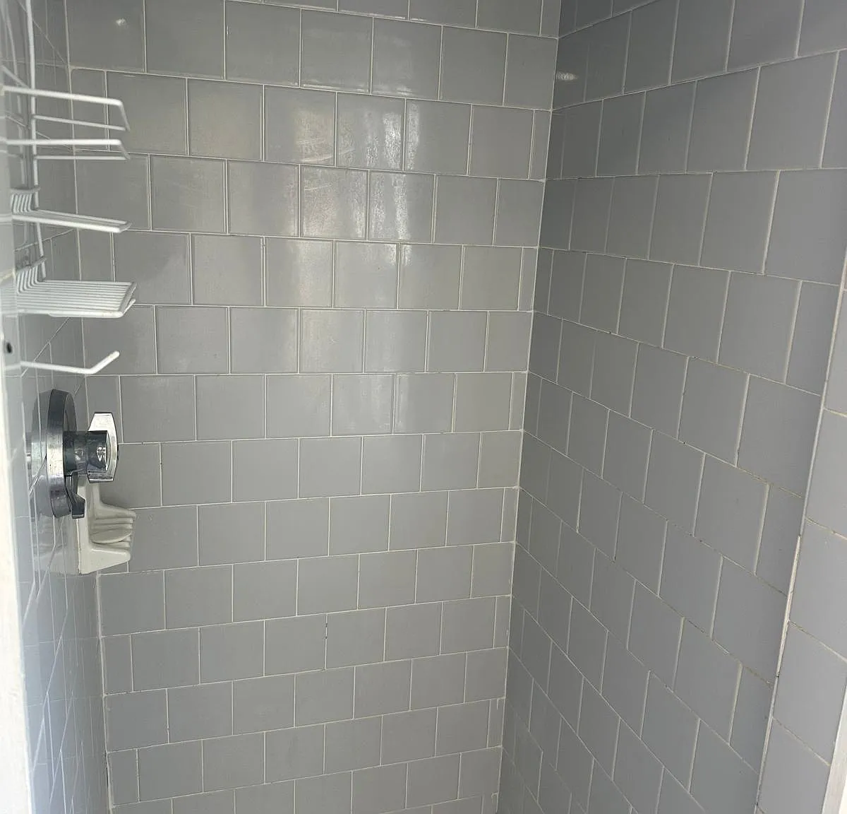 7 Anthony St — Photo 3