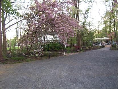 2nd image of 982 Di Antonio Dr