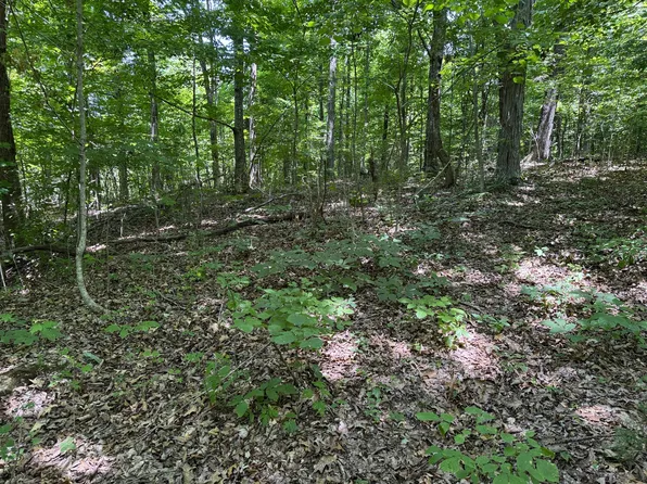 Friendship Rd S, Greeneville, TN 37745