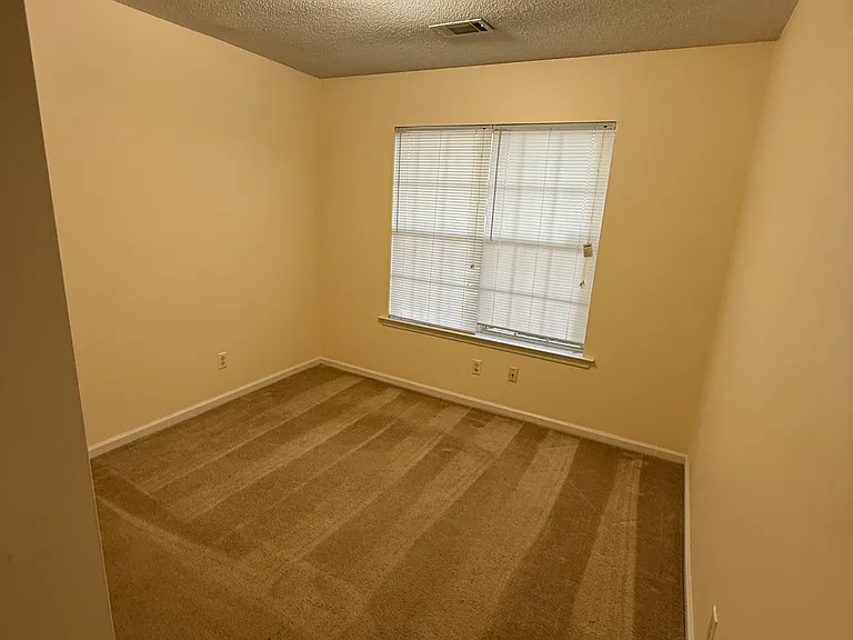 1502 Palmetto Sands Ct — Photo 11