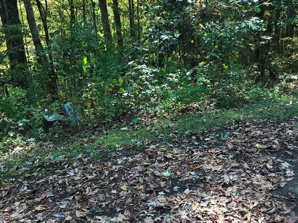 LOT 6 Elem St, Chilhowie, VA 24319