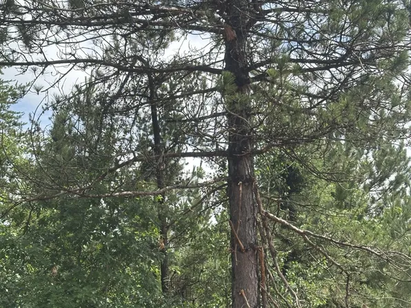 Near Cth Y S Rns Lot 4, Tomahawk, WI 54487