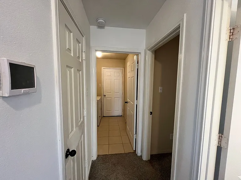 23023 Black Mountain Ash Ct — Photo 10