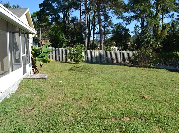 Back Yard_11132013