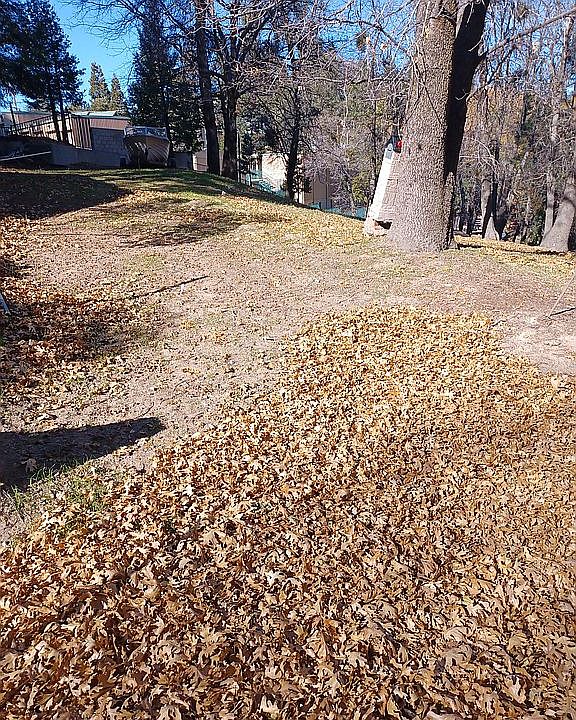 2nd image of 578 Ashlar Dr