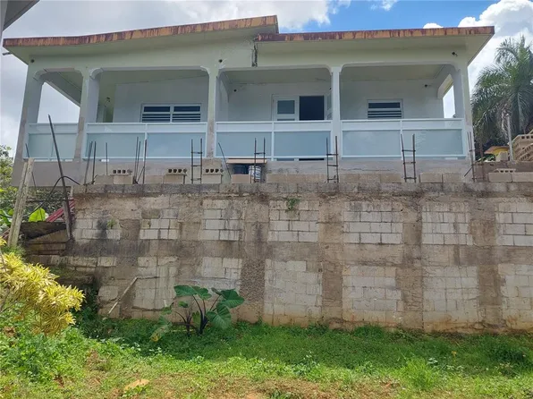 Carr 181 Km 13.9 Barrio Espino, San Lorenzo, PR 00754