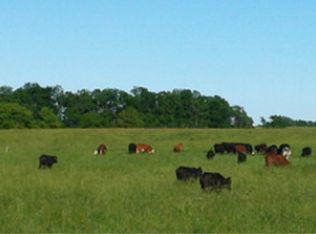 4116 Burr Dr, Birmingham, AL 35214