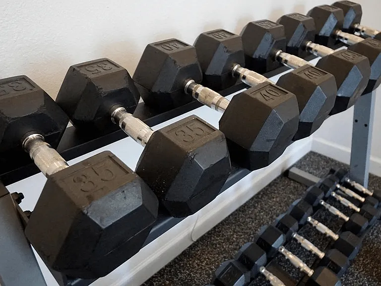 Free Weights, Cardio Machines, and More