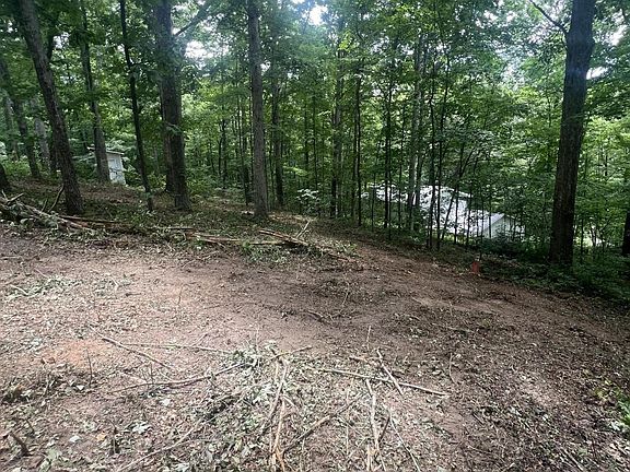 4th image of 6018 Nottingham Rd