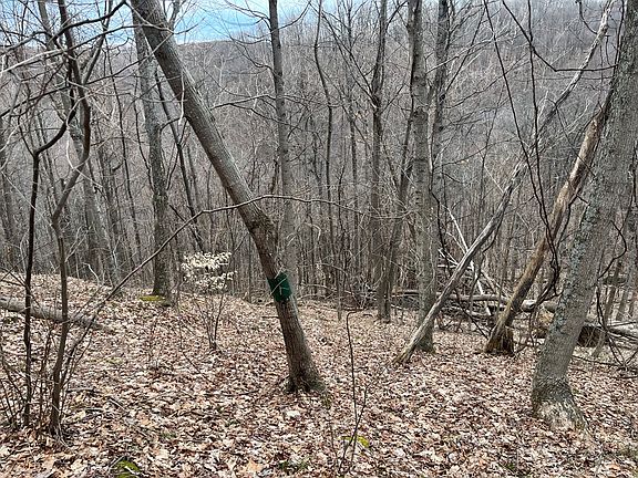 3rd image of Hickson Run Rd