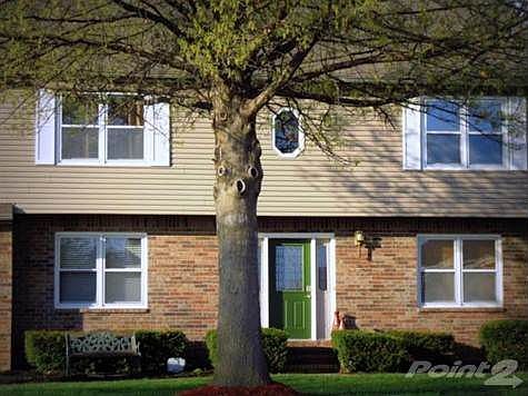 3rd image of 3339 W Driftwood Ct