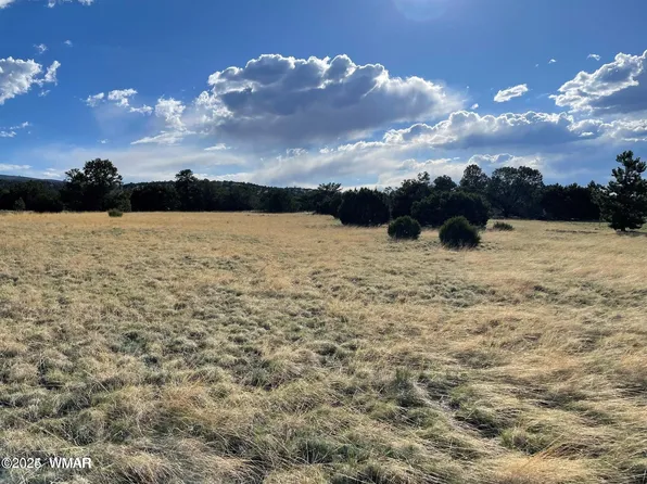 Sky Crest Dr, Eagar, AZ 85925