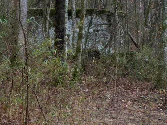 3rd image of N Obey River Fork Ln