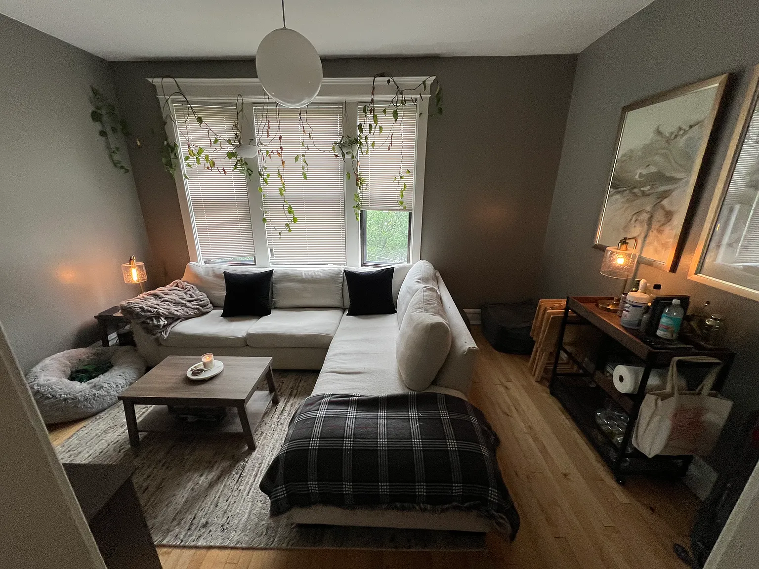 2 bed, 900 sqft, $2,345 — Photo 3