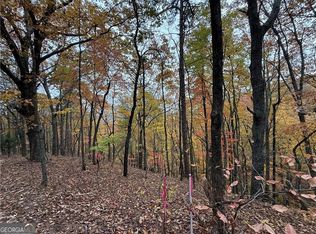 355 Orieole Ct, Ranger, GA 30734