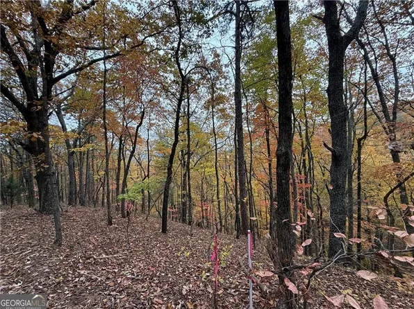 355 Orieole Ct, Ranger, GA 30734