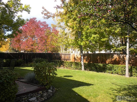 Lush Back Yard!