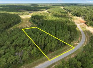 15427 Forest Grove Dr, Willis, TX 77378