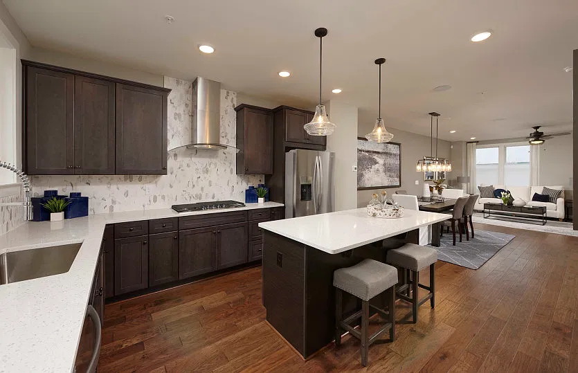 Gourmet Kitchen