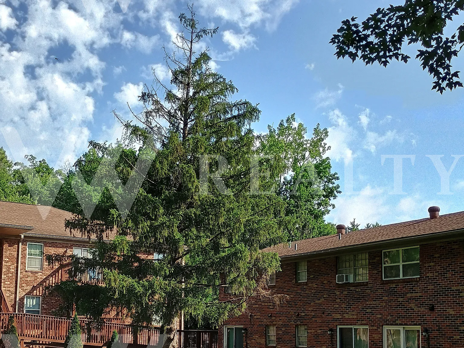 1 bed, 525 sqft, $935 — Photo 3