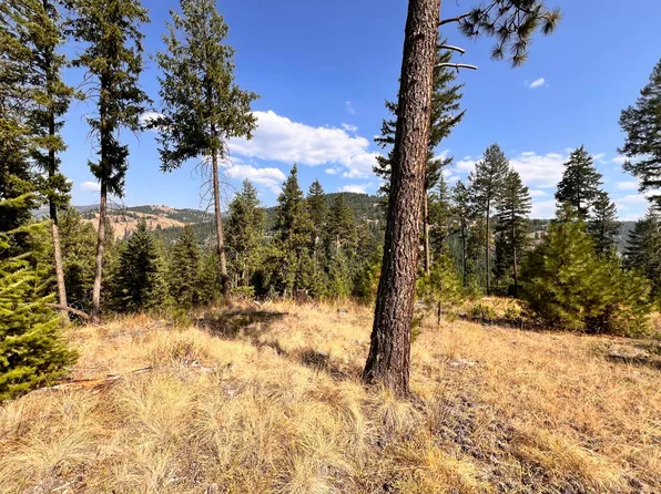 Little Goosmus Creek Rd, Curlew, WA 99118