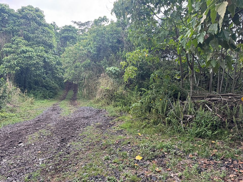 2nd image of 86-4180 Mamalahoa Hwy Lot D