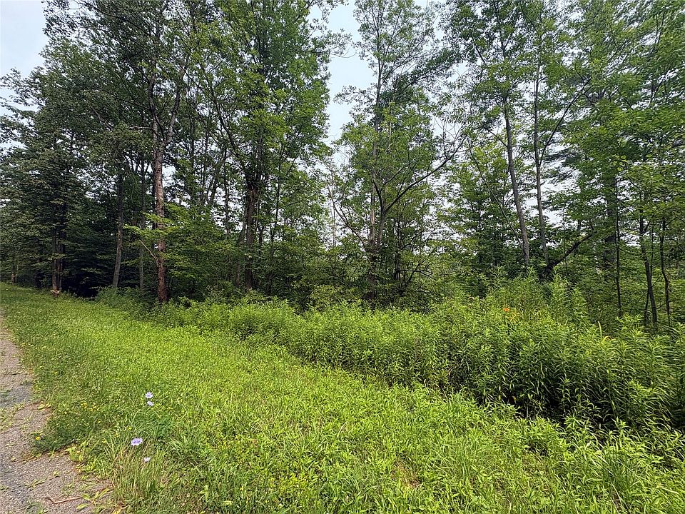 2nd image of 0 Ketchumville Rd