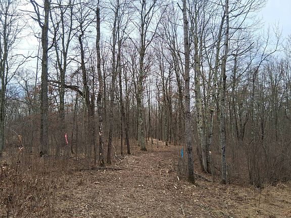 3rd image of 3 Pierce Homestead Rd