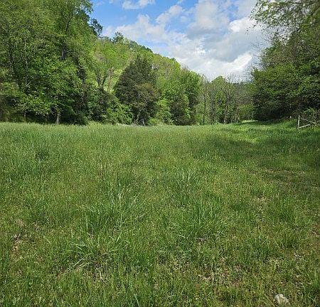 5th image of 263 Club Springs Rd