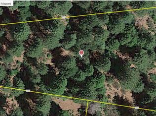5189 Mount Pleasant Dr, Grizzly Flats, CA
