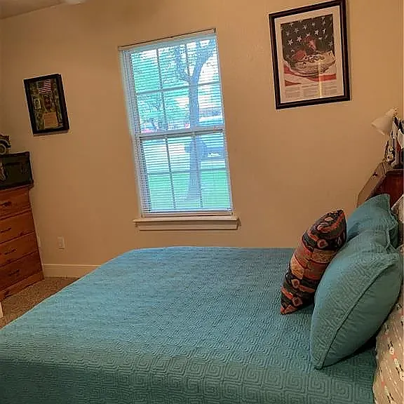 19 Shady Bluff Ct — Photo 4