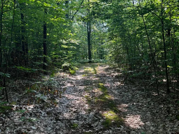 10483 E Lucas Trl, Reed City, MI 49677