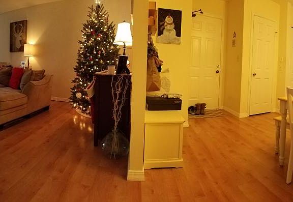 Living room / Dining room / Kitchen