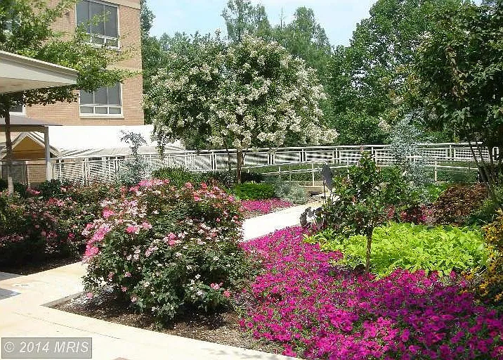 Studio, 590 sqft, $1,695 — Photo 4