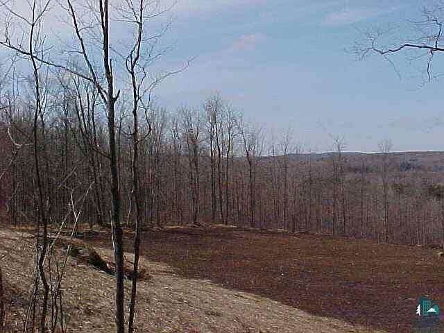 2nd image of 00 Haugen Rd Lot 3