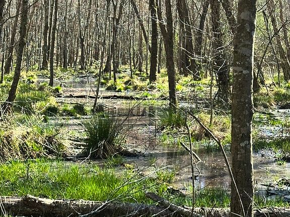 5th image of 2607 Hughes Rd