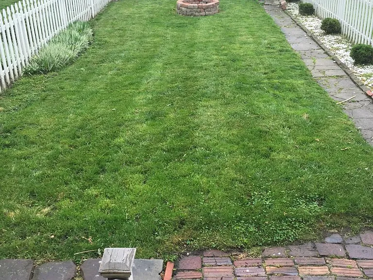 fenced in backyard
