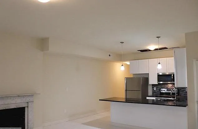 32 E Preston St #B — Photo 9