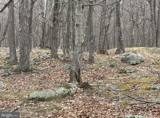 46 Goldenseal Rd, Maysville, WV 26833