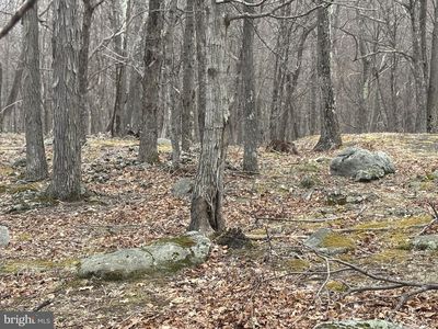 46 Goldenseal Rd, Maysville, WV, 26833