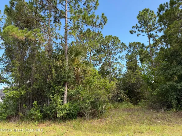 798 Altamira St NW, Palm Bay, FL 32907