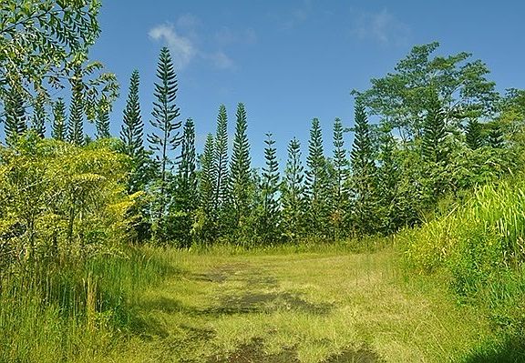 4th image of 15-1122 Kahakai Blvd Lot 24