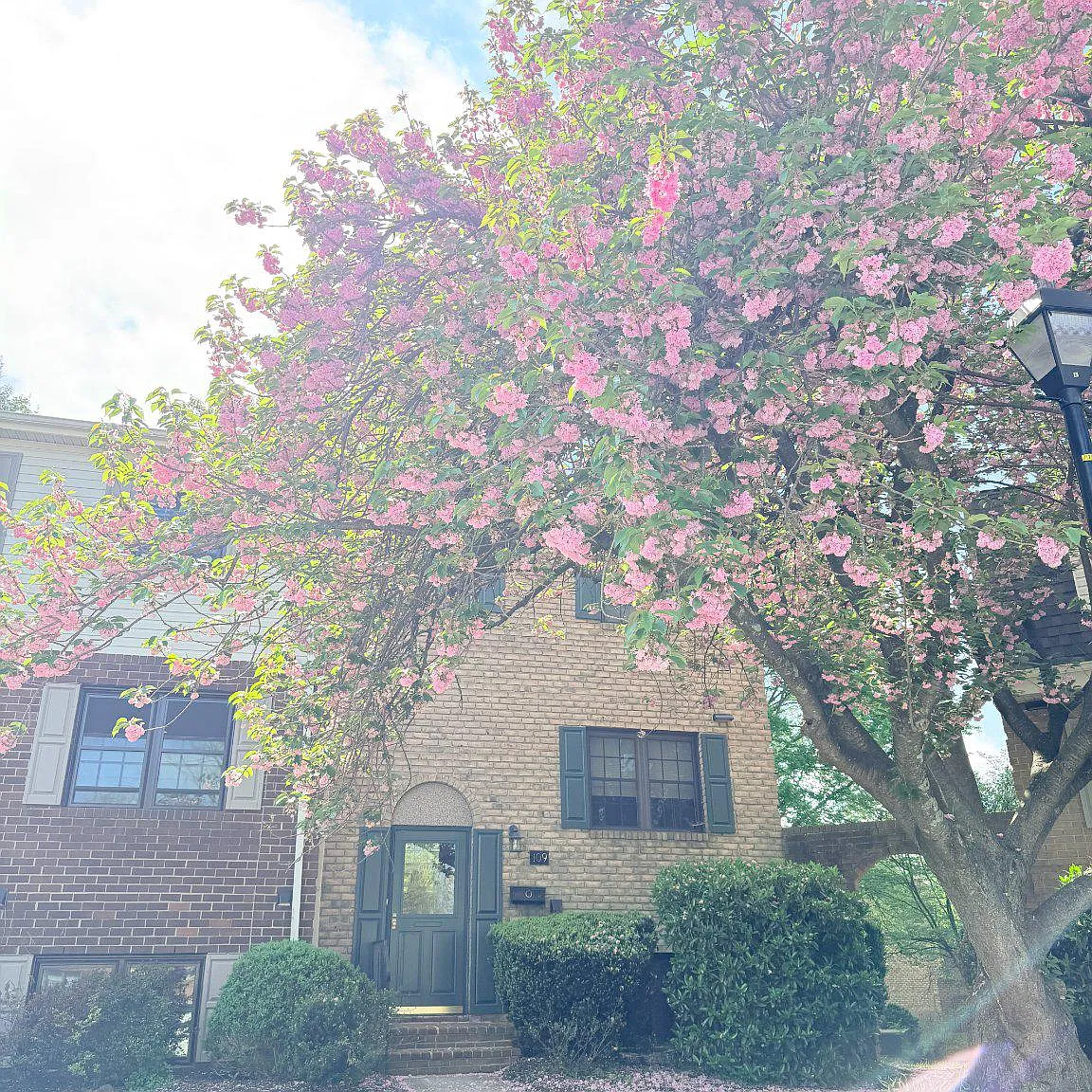 4 bed, 2.5 bath, 1850 sqft, $2,800 — Photo 1