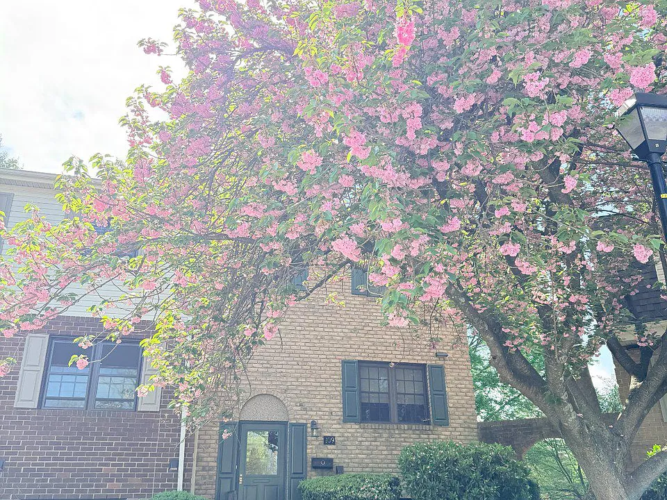 109 Swarthmore Dr #109