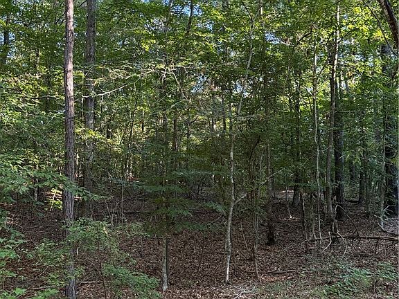 3rd image of 2530 County Road 45